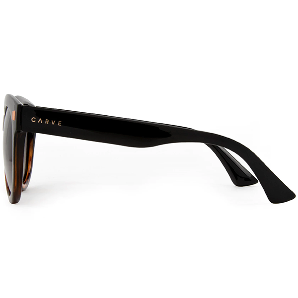 Carve Sunglasses Harpo - Gloss Tort Gradient Polar